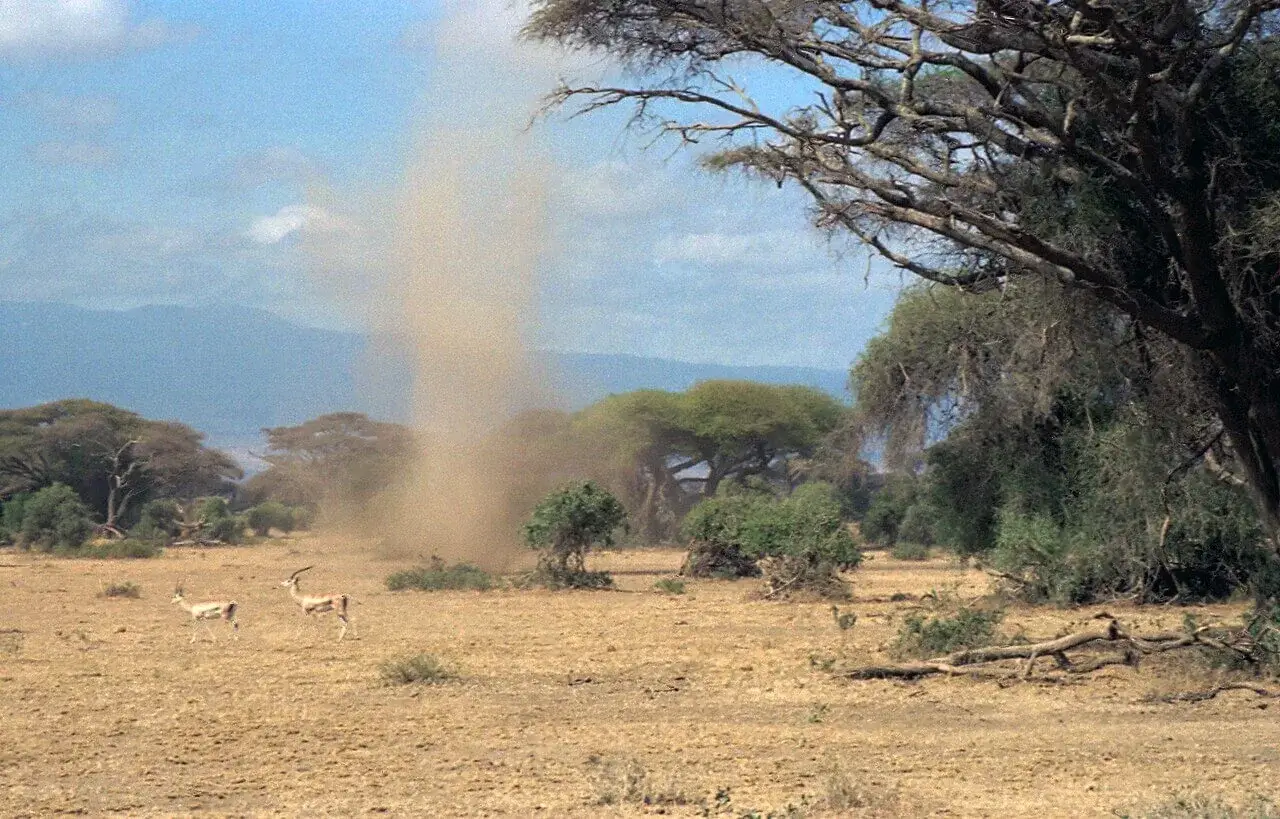 Ein Staubteufel im Amboseli-Nationalpark, Kenia, 1993