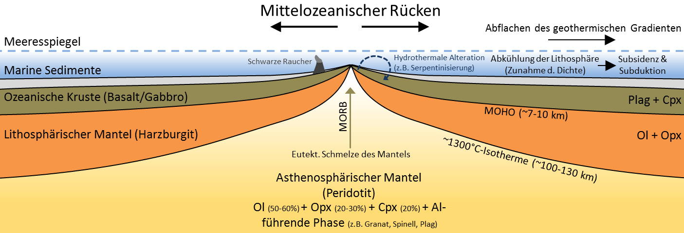 Mittelozeanischer Rücken (petrologische Prozesse)