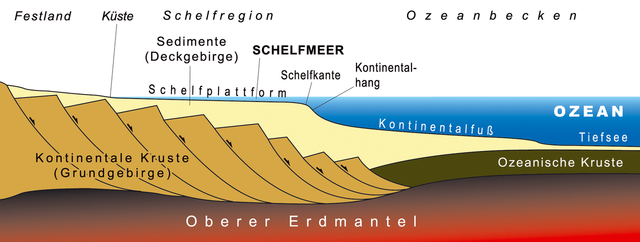Weitere Einzelheiten Schematisches Profil eines Kontinentalrandes einschließlich des Schelfbereichs und dem Beginn der Abyssalebenen am rechten Rand. Kleine schwarze Pfeile kennzeichnen die Scherbewegung entlang der Verwerfungslinien des kontinentalen Grundgebirges.