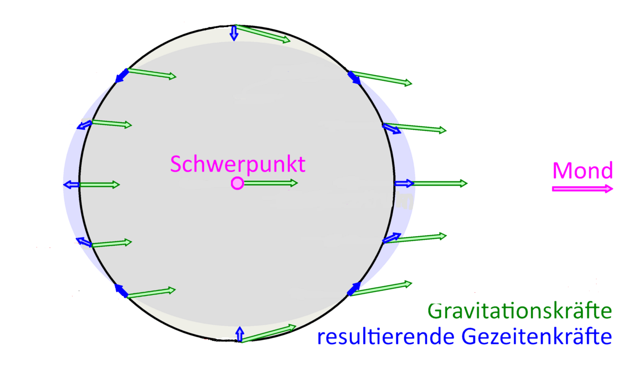 Weitere Einzelheiten Gezeitenbeschleunigung (blau) durch den Mond für Orte an der Erdoberfläche als Differenz der örtlichen Gravitationsbeschleunigung (grün) und der Beschleunigung des Massenmittelpunkts.