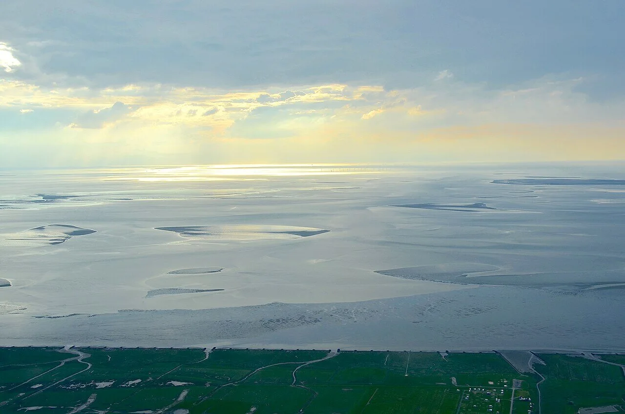 Sandbänke im Nationalpark Niedersächsisches Wattenmeer (2019)